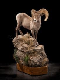 Finished mount visual